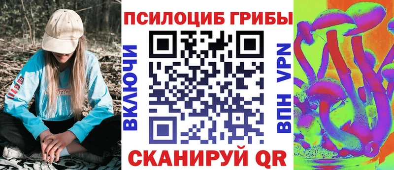 нарко площадка клад  Фатеж  Галлюциногенные грибы Psilocybe 